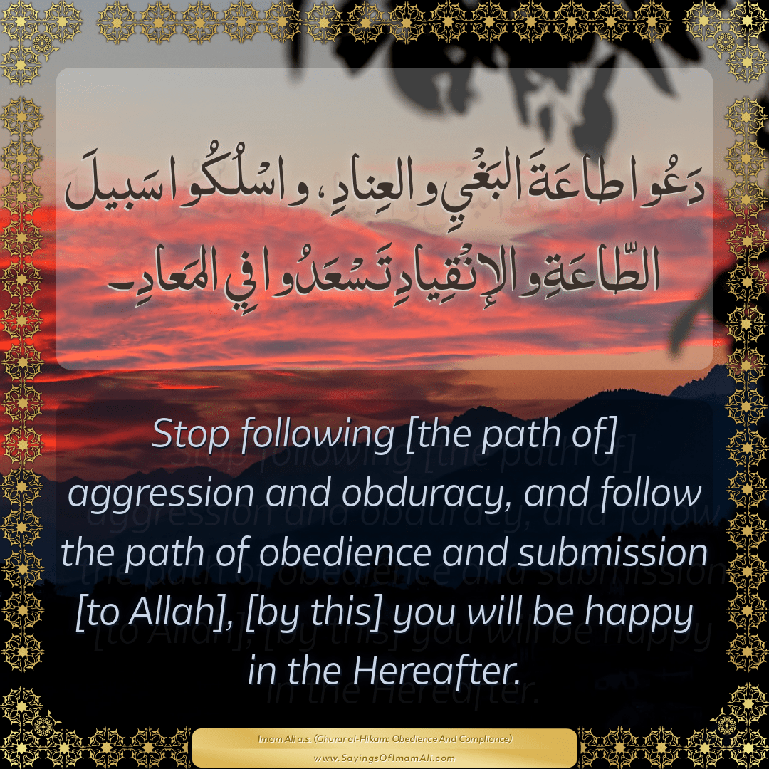 Stop following [the path of] aggression and obduracy, and follow the path...